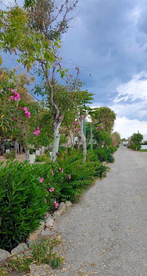 Camping Village Torrenova Cirò Marina 外观 照片