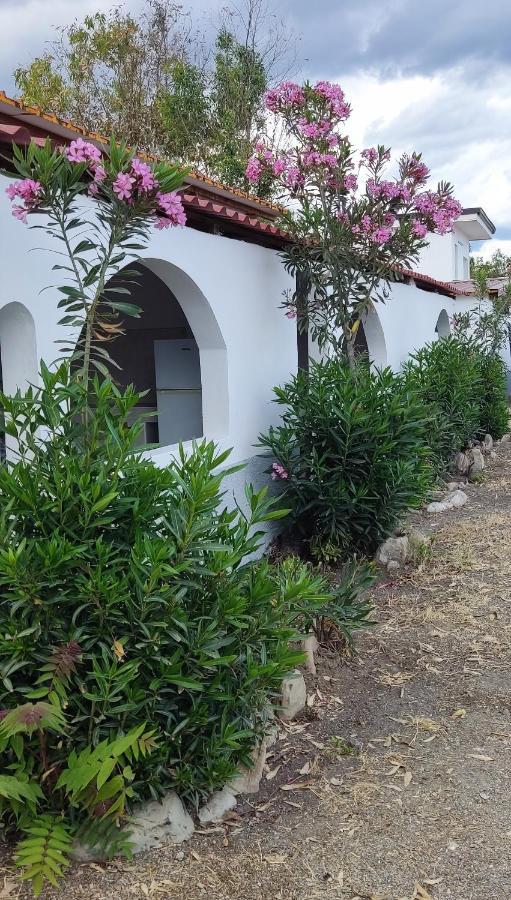 Camping Village Torrenova Cirò Marina 外观 照片