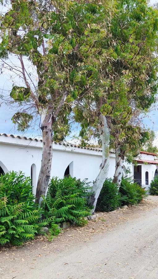Camping Village Torrenova Cirò Marina 外观 照片
